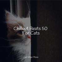 Cat Music - Ambient Atmosphere