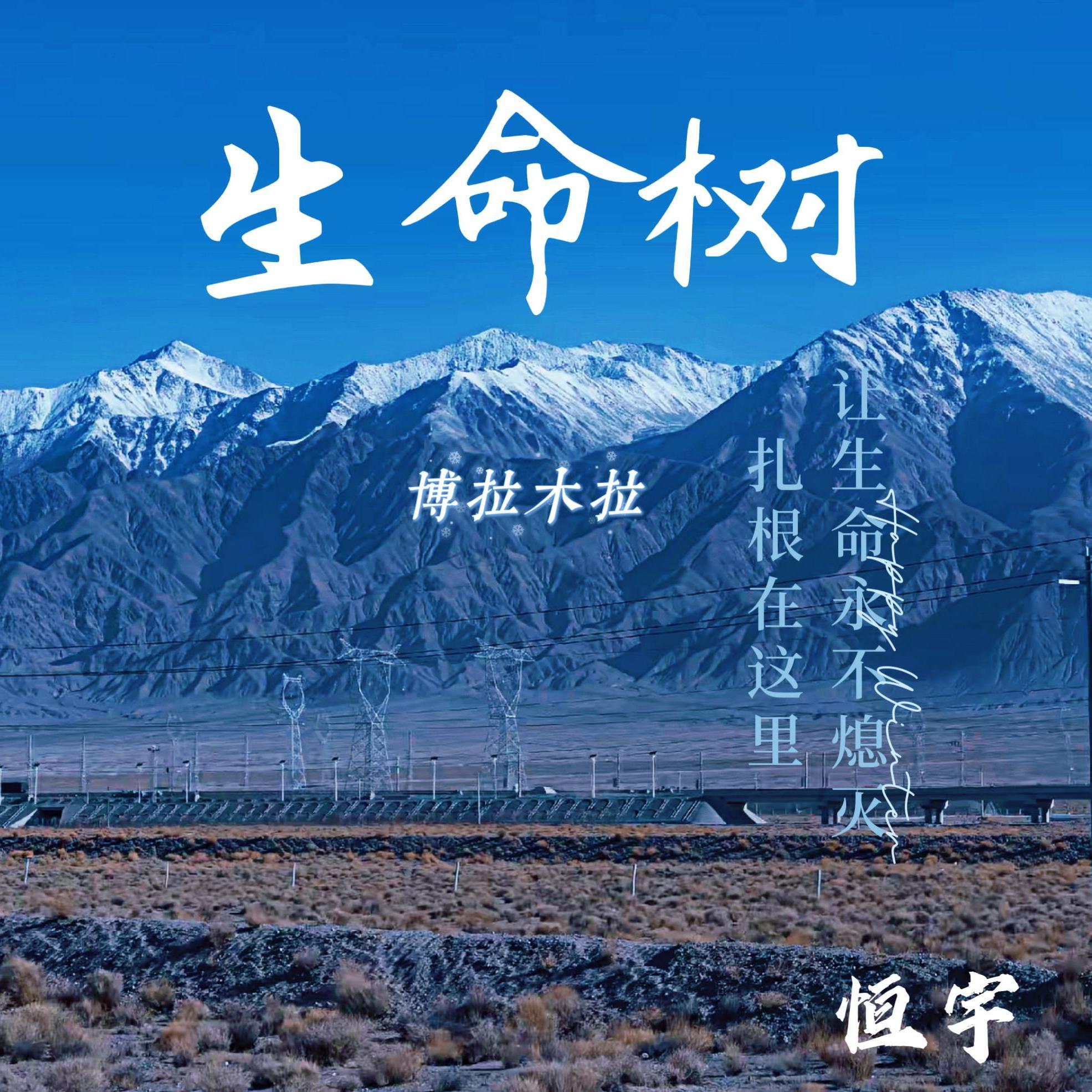 生命树（博拉木拉）封面