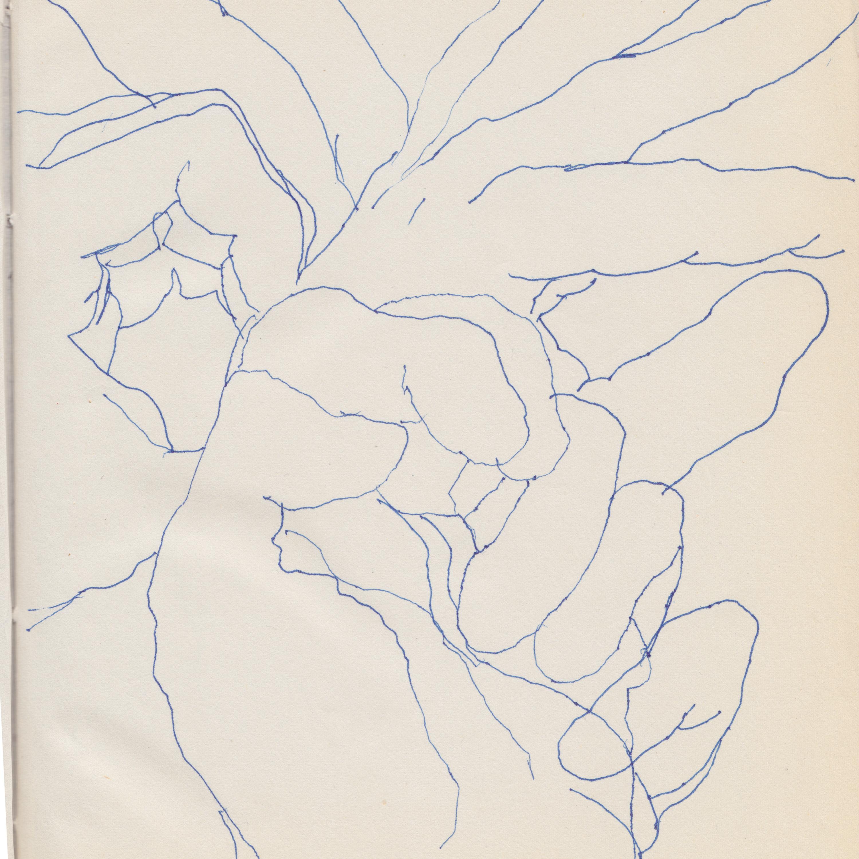 La Anarquía Explicada A Los Niños