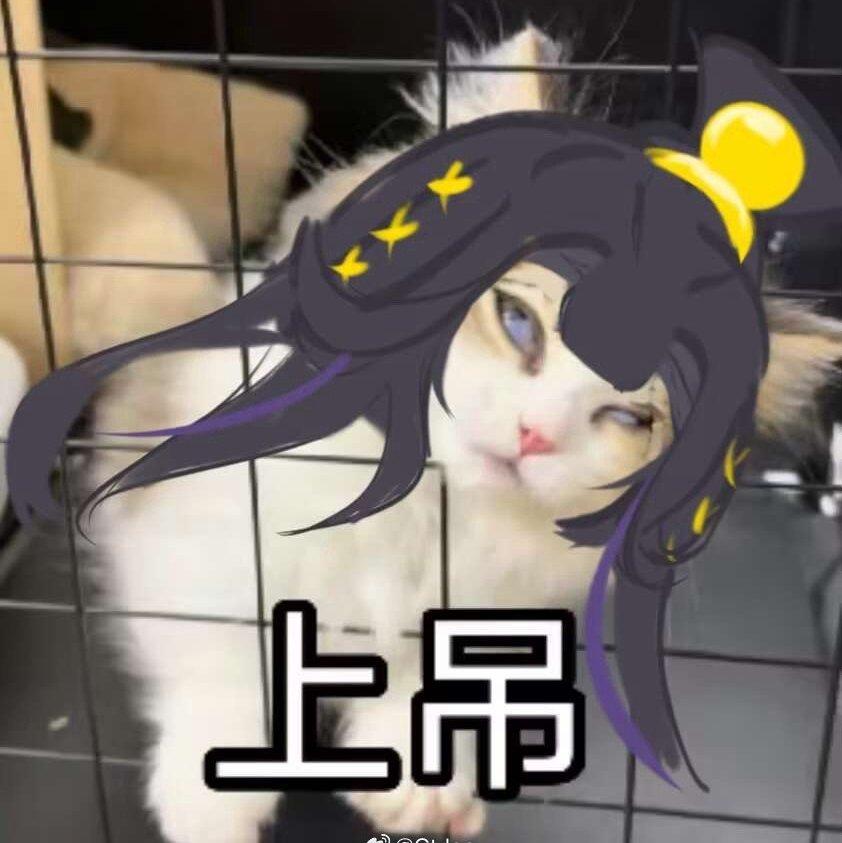 菜奶求你别进本了封面