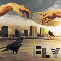 Fly