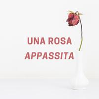 Una Rosa Appassita