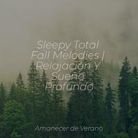 Sleepy Total Fall Melodies | Relajación Y Sueño Profundo