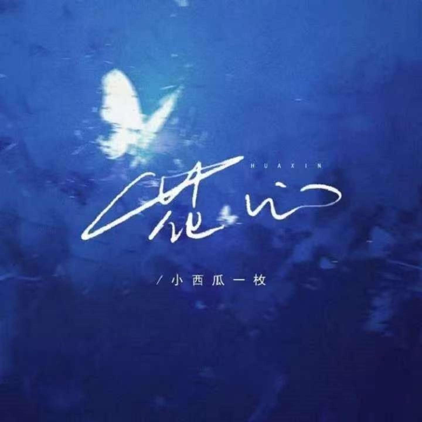 花心 (DJ版)封面