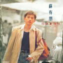 苏有朋