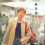 苏有朋