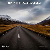 Breakup (Acid Road Mix)