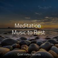 Meditation Music to Rest