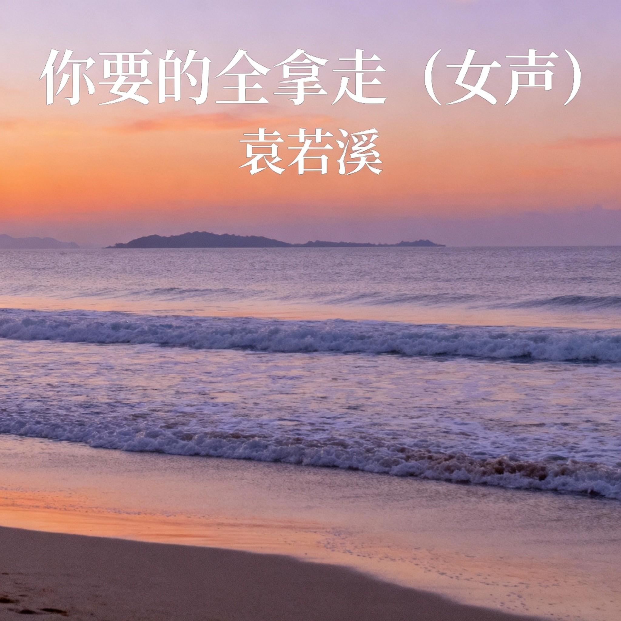 你要的全拿走封面