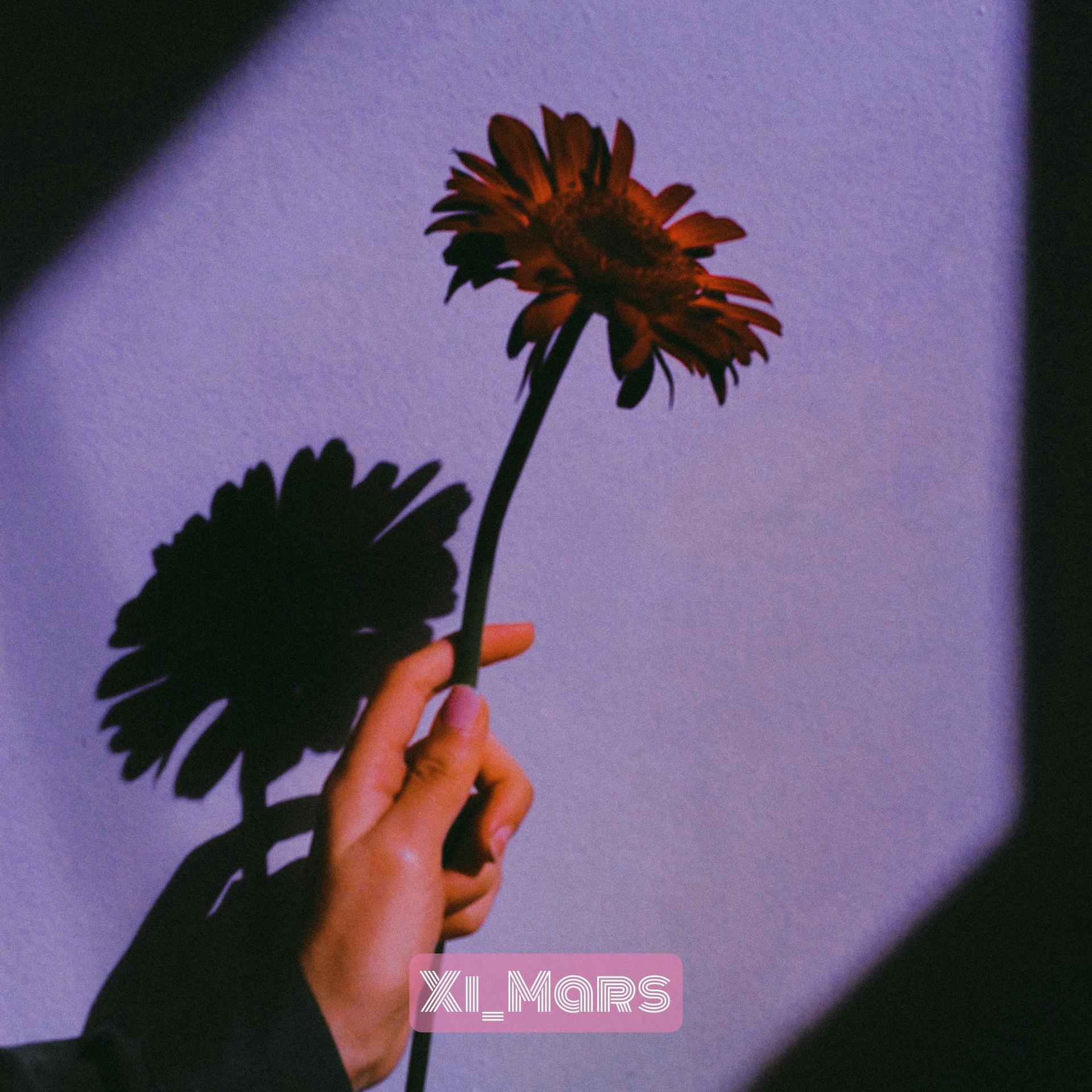 【FREE】秘密花园-FUTURE BASS