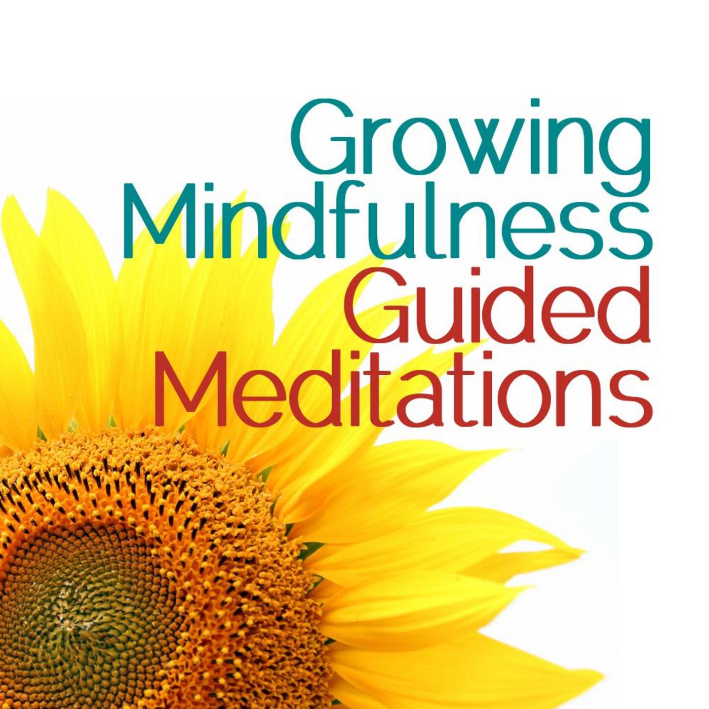 Letting It Be Meditation