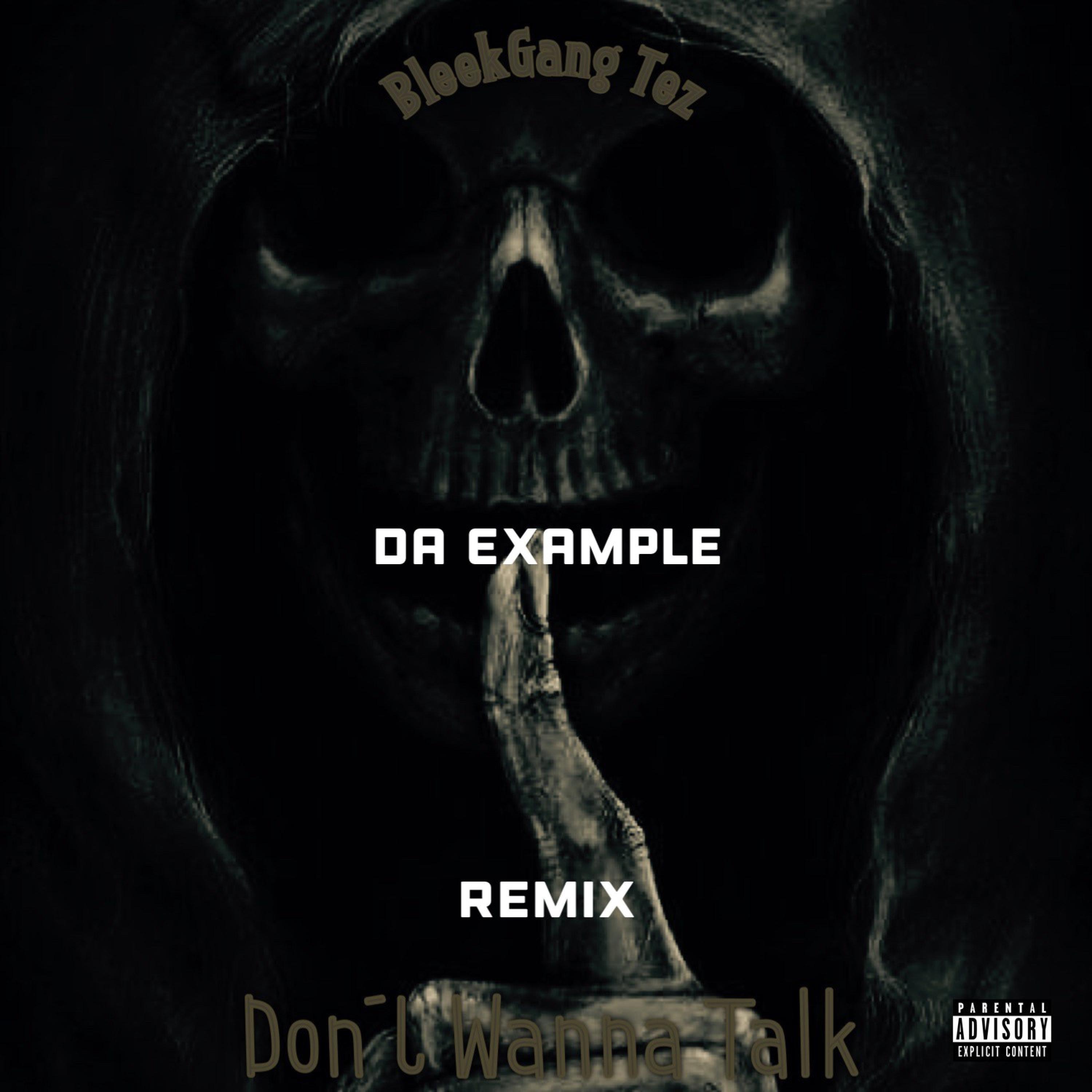 Don't Wanna Talk (feat. Da Example) (Remix)