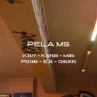 Pela Ms (feat. Kulpado, Mura, João Pestana, E.se & GriLocks)