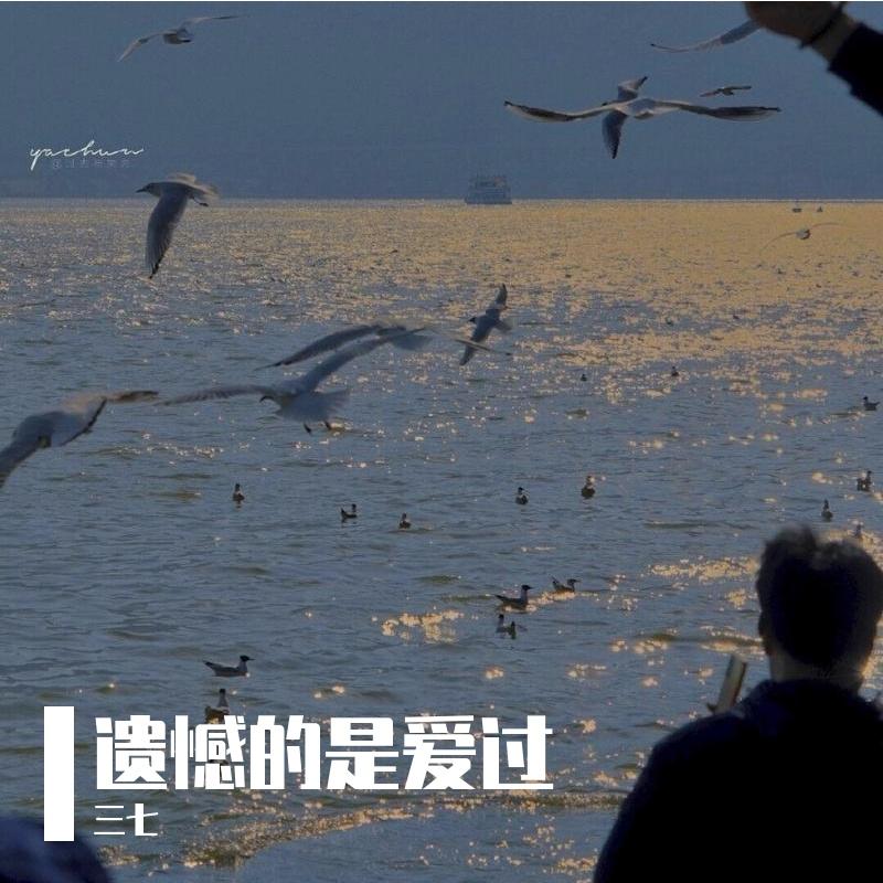 三个人的爱情 伴奏 - 三七封面
