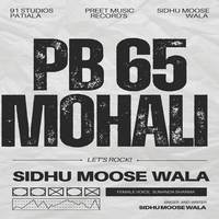 PB 65 MOHALI