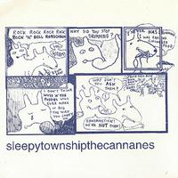 The Cannanes / Sleepy Township Split