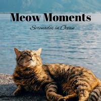 Meow Moments: Serenades in Ocean