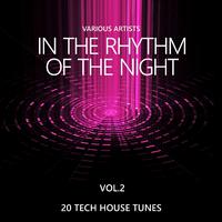 In the Rhythm of the Night (20 Tech House Tunes), Vol. 2