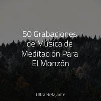 50 Grabaciones de Música de Meditación Para El Monzón