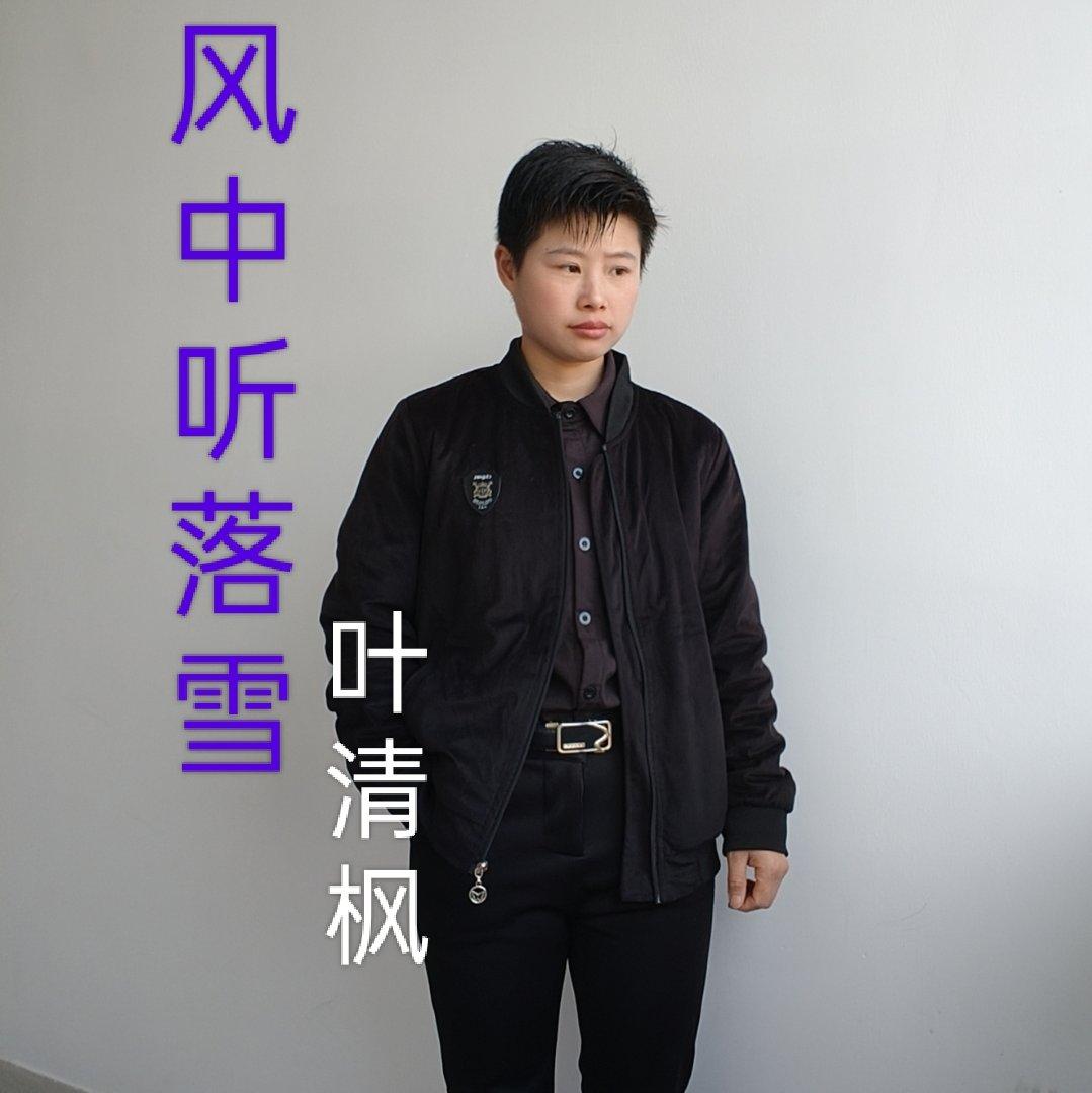 风中听落雪封面