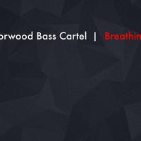 Norwood Bass Cartel资料,Norwood Bass Cartel最新歌曲,Norwood Bass CartelMV视频,Norwood Bass Cartel音乐专辑,Norwood Bass Cartel好听的歌