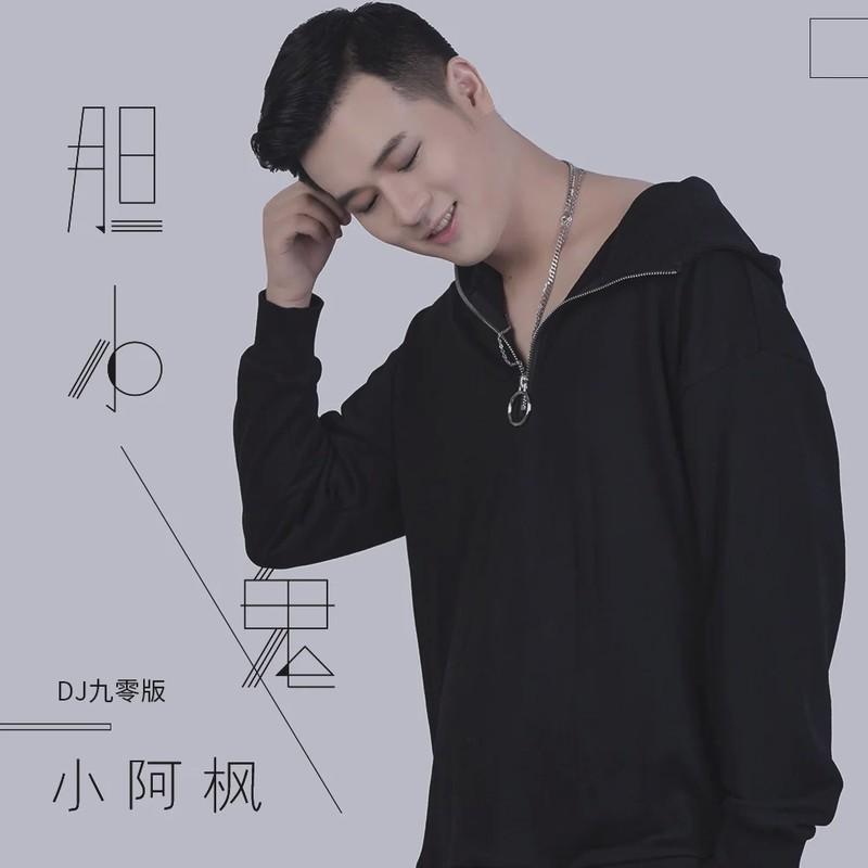 胆小鬼(DJ版)封面
