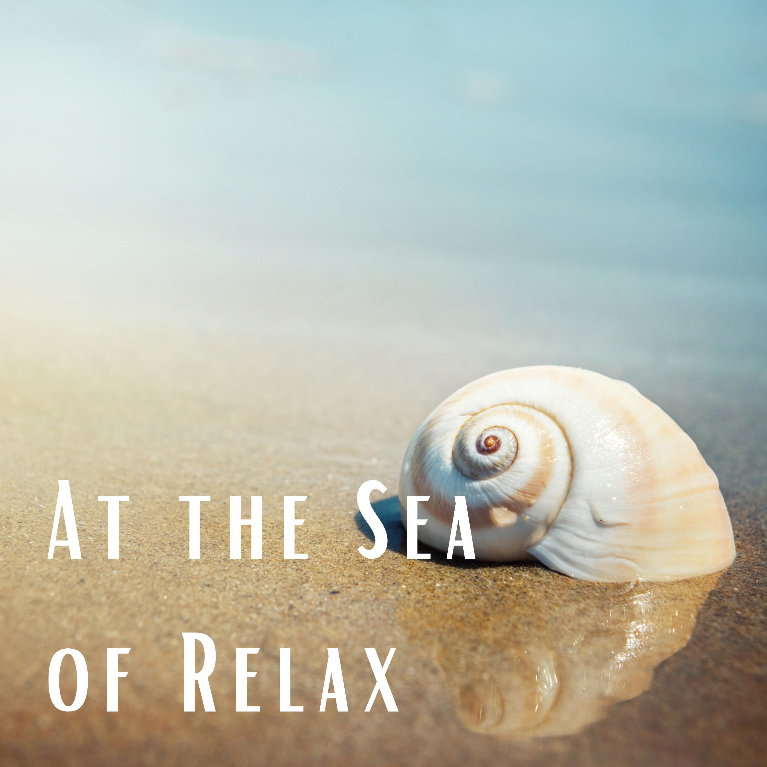 Wild Sea of Relax with Forest Noises pt. 1