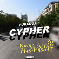 富康街Cypher