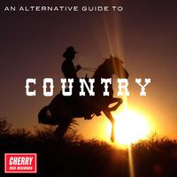 An Alternative Guide to Country