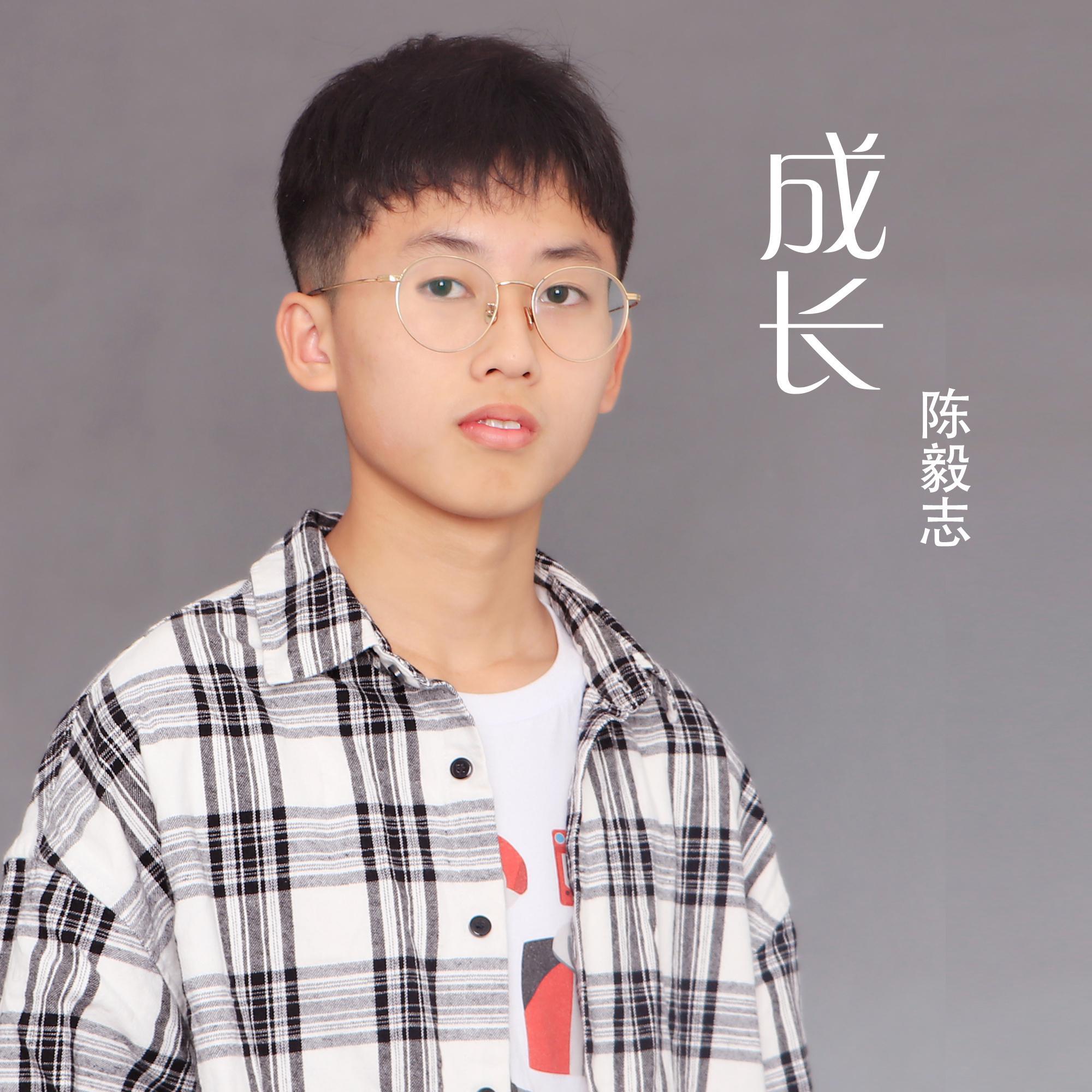 成长 伴奏封面
