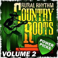 Country Roots Power Picks, Vol. 2