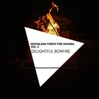 Delightful Bonfire - Woodland Forest Fire Sounds, Vol. 5