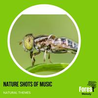 Nature Shots of Music - Natural Themes