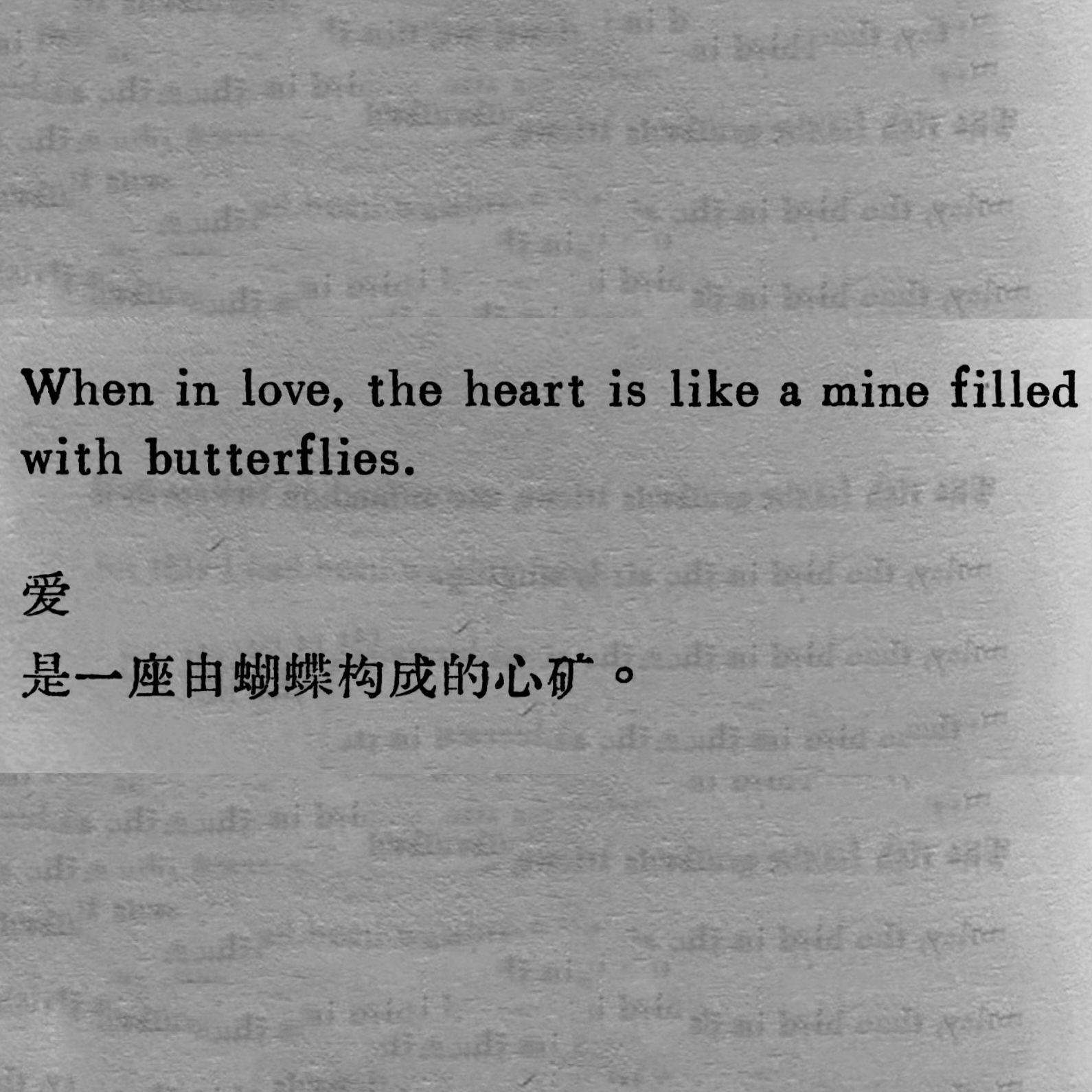 爱是一本书封面