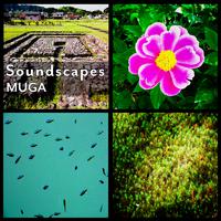 Soundscapes