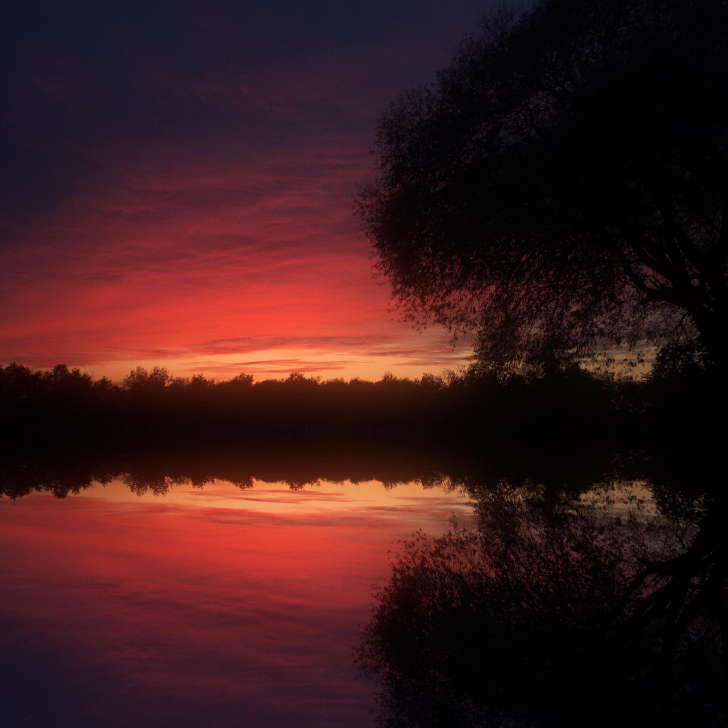 Schwach (feat. Barbie Mak & CapsCtrl)