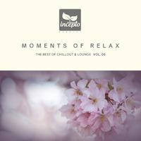 Delete - Moments of Relax, Vol. 6