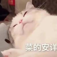 L.资料,L.最新歌曲,L.MV视频,L.音乐专辑,L.好听的歌