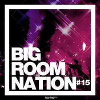 Big Room Nation, Vol. 15