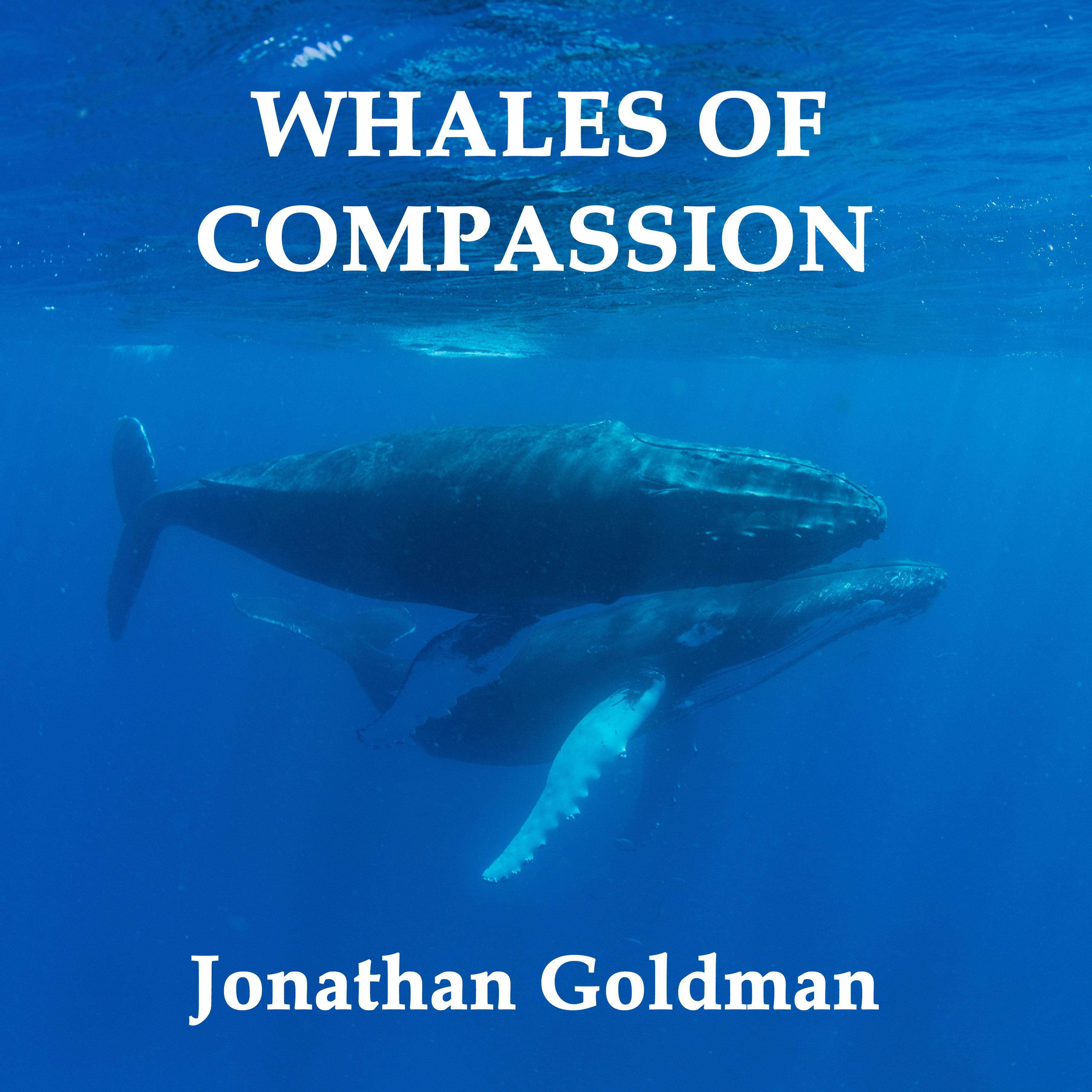 whales of compassion - jonathan goldman - 单曲