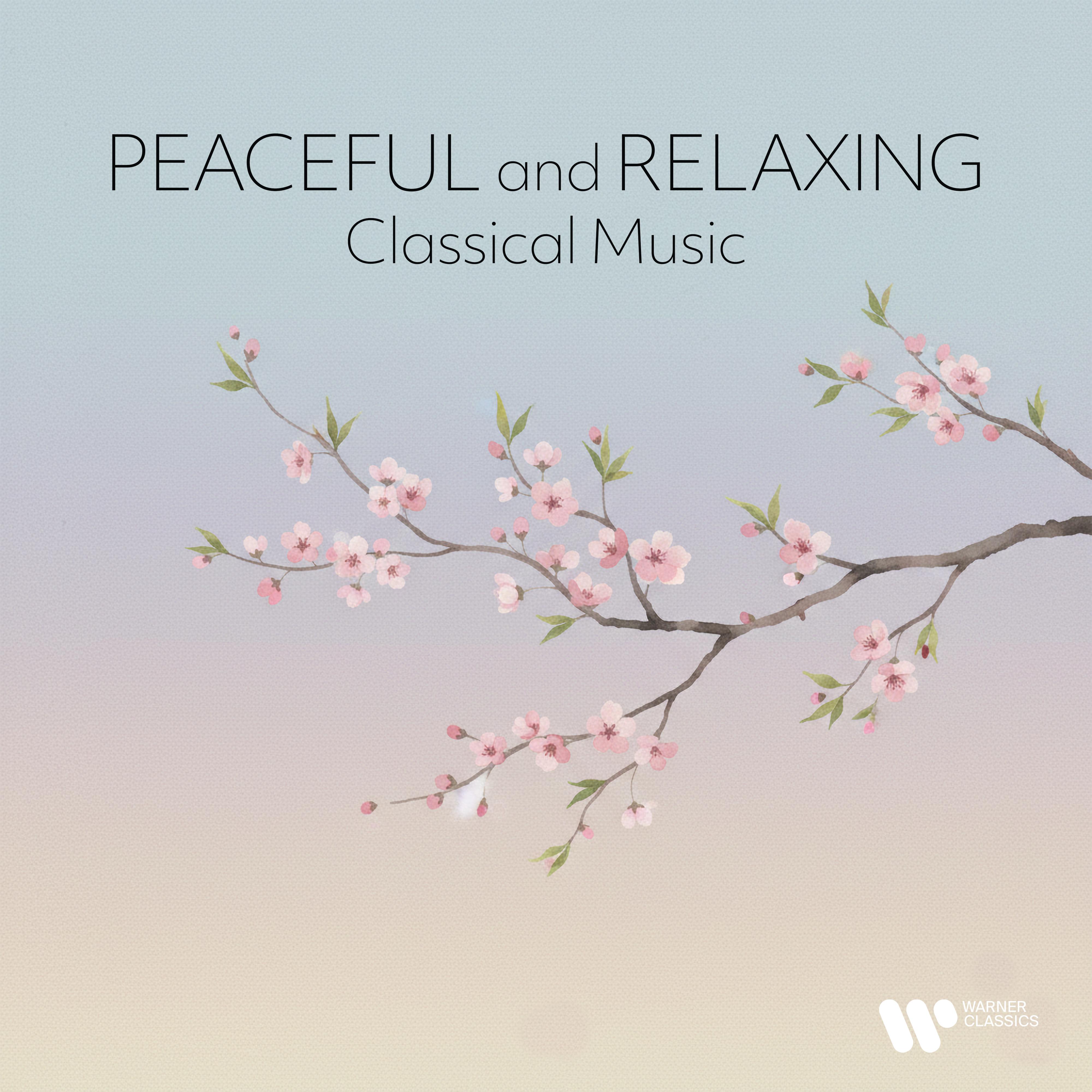 Piano Concerto No. 23 in A Major, K. 488:II. Andante