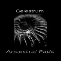 Celestrum