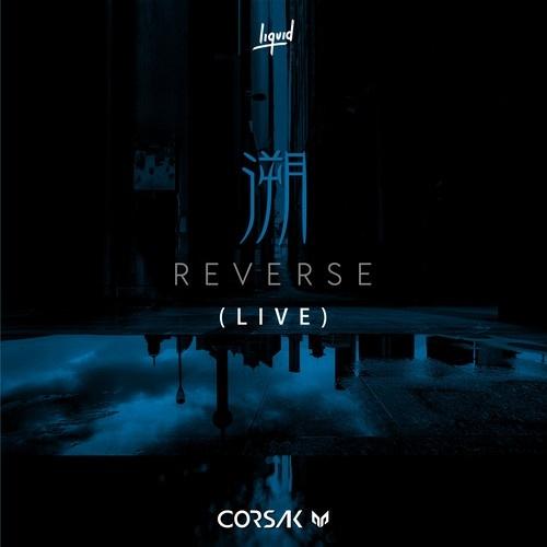 溯 Reverse (Live)封面
