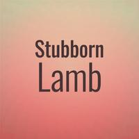 Stubborn Lamb