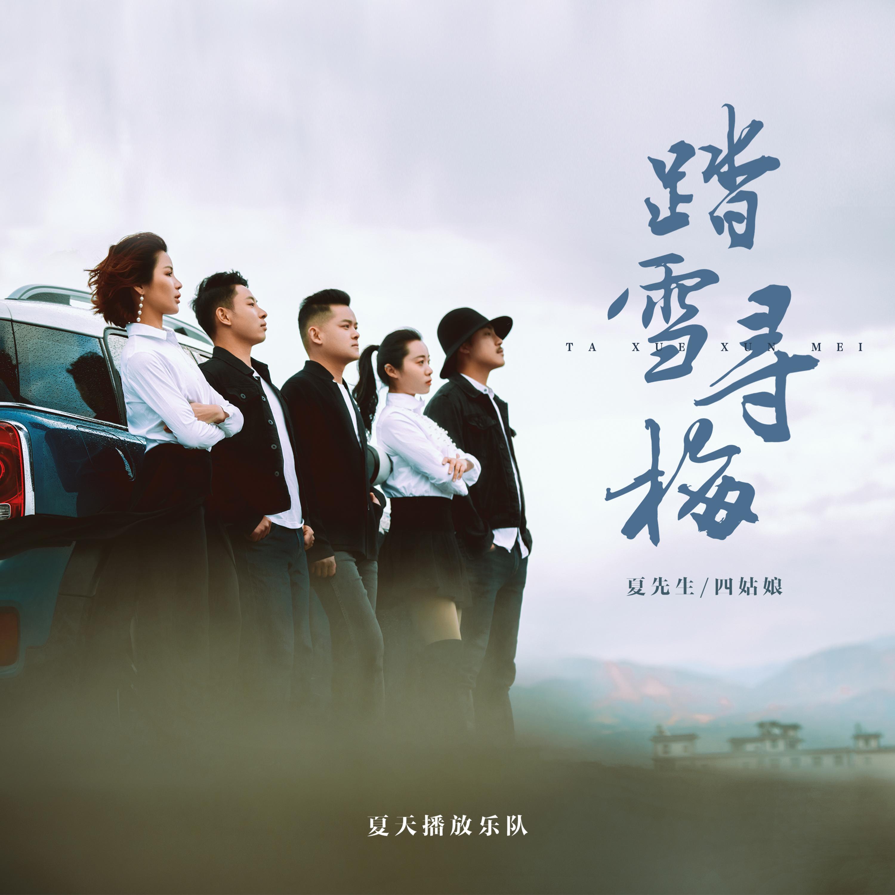 踏雪寻梅 (DJ版)封面