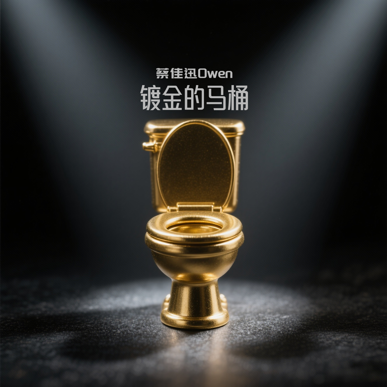 镀金的马桶封面