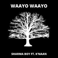 Waayo Waayo (feat. K'naan)