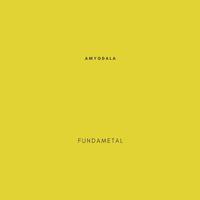 Fundametal