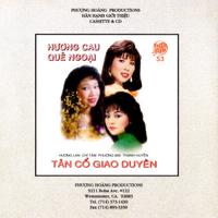 Tân cổ giao duyên 2 - Rước tình về với quê hương