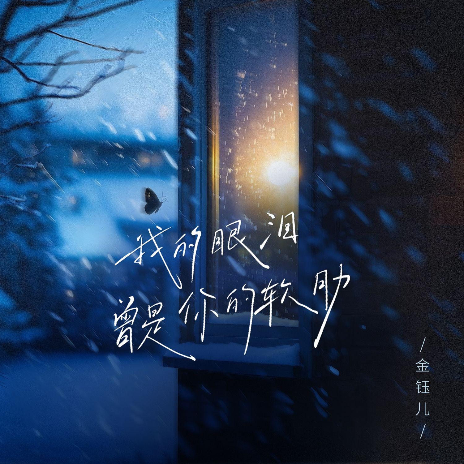 我的眼淚曾是你的軟肋 海報
